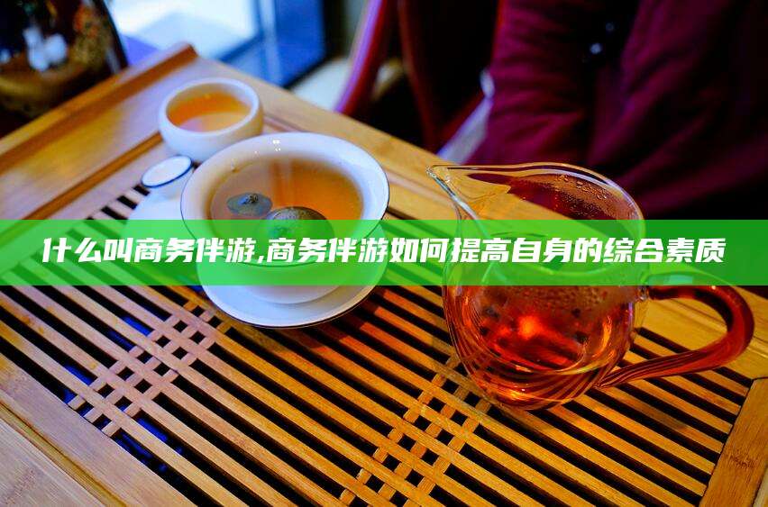 辽源什么叫商务伴游,商务伴游如何提高自身的综合素质