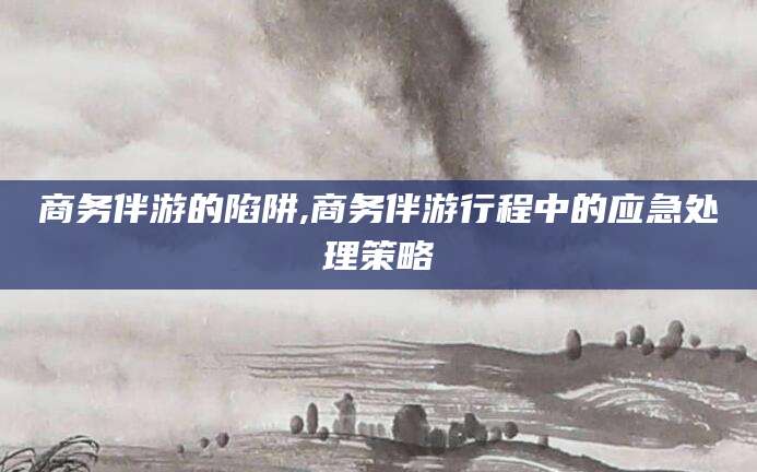 辽源商务伴游的陷阱,商务伴游行程中的应急处理策略